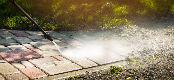 Best Soft Washing for Delicate Surfaces in Pelican Rapids, MN
